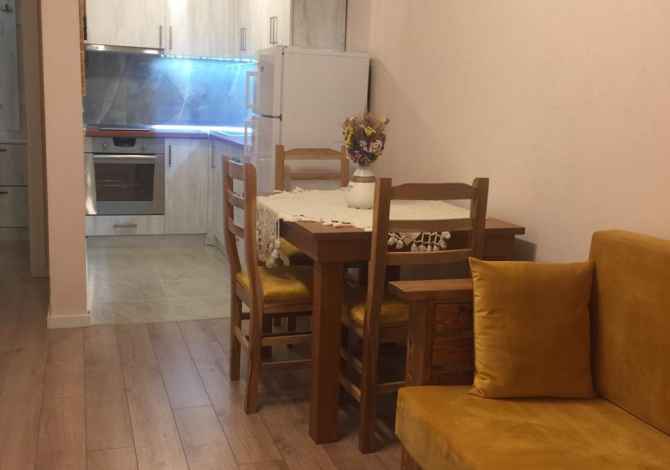 Shtepi me qera 1+1 ne Tirane - 30,000 Leke
