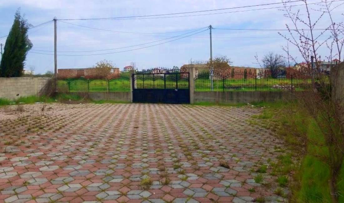 Foto 3
