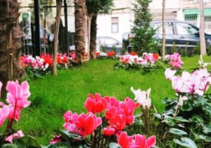 Njoftime Pune per Kamarier/e, Bankier/e, Sanitare ne Tirane