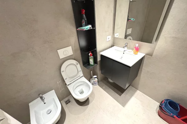 Shtepi me qera Apartament ne Tirane, 1+1, Mobilimi E mobiluar, Pagesa 70,000  Leke.