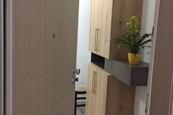 Shtepi me qera 1+1 ne Tirane - 50,000 Leke