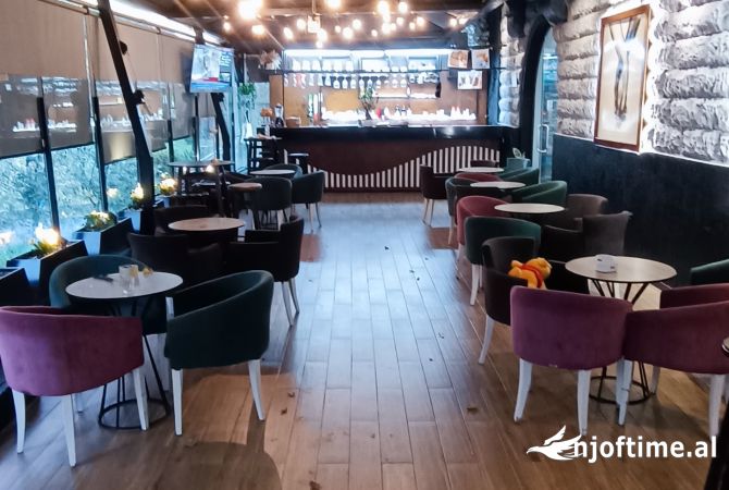 Ambient biznesi me qera 2+1 ne Tirane - 805 Euro
