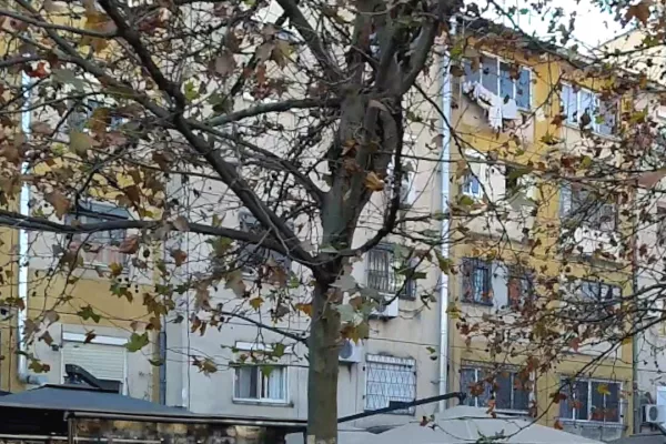 Ambient biznesi me qera 1+1 ne Tirane - 600 Euro