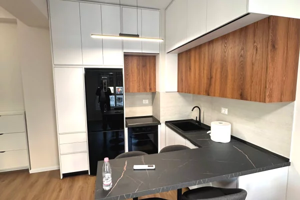 Shtepi me qera 1+1 ne Tirane - 450 Euro