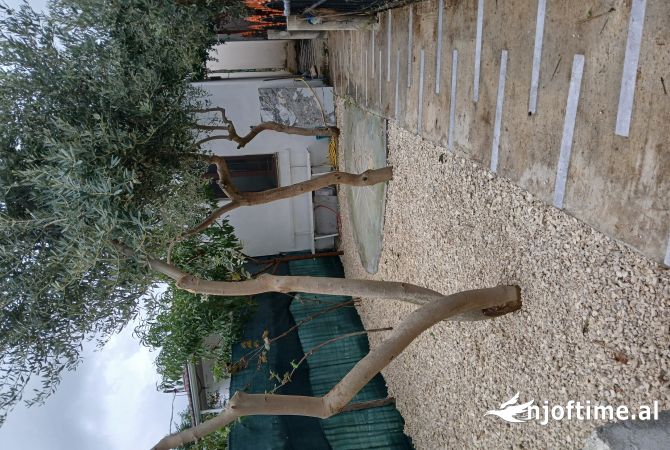 Shtepi me qera 1+1 ne Durres - 195 Euro