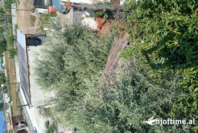 Shtepi me qera Shtepi Private ne Durres, 2+1, Mobilimi E mobiluar, Pagesa 290  Euro.