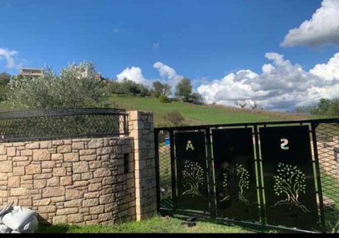 Truall ose Toke  ne Tirane - 80,000 Euro