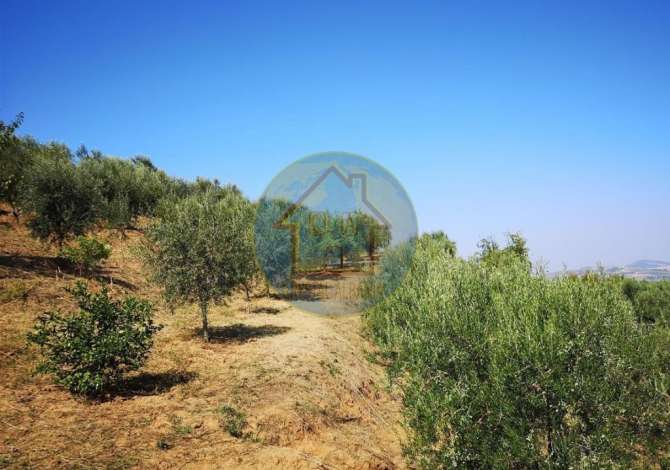 Terreno in vendita  a Lushnja - 69,000 Euro