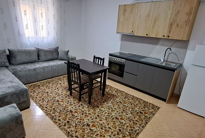 Shtepi me qera 1+1 ne Tirane - 40,000 Leke