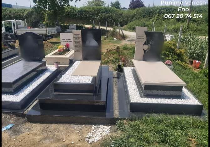 Professional Services  a Tirana - 60,000 Leke