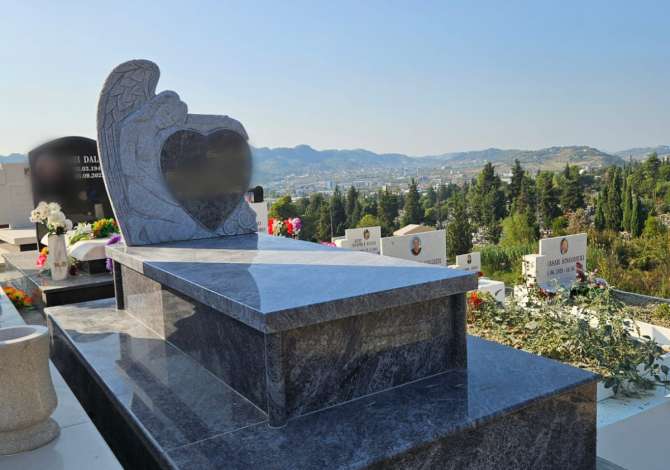 Construction and Restructurings  in Tirana - 400 Euro