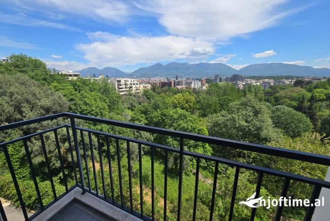 Shtepi me qera Apartament ne Tirane, 1+1, Mobilimi E mobiluar, Pagesa 650  Euro.