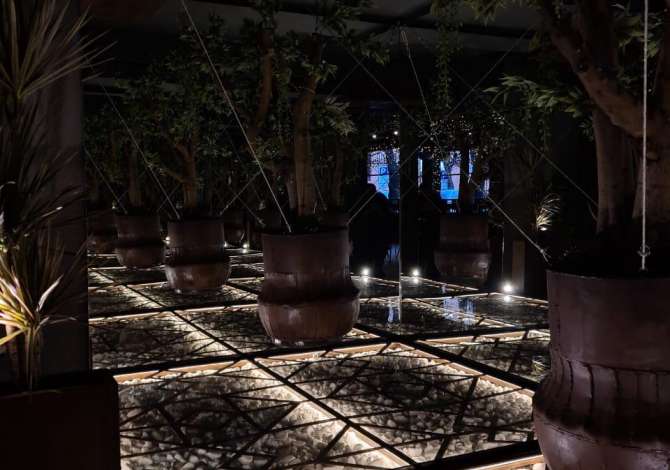 Njoftime Pune ne Tirane, Profesioni Kamarier/e / Banakier /e /Ndihmes Barist/Hostes /e / Sanitare/Lavapjatese , , Pagesa Me Marreveshje.