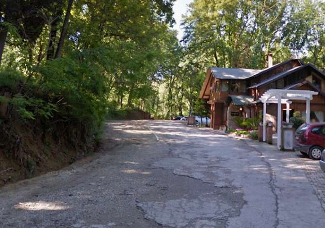 Truall ose Toke  ne Tirane - 300,000 Euro