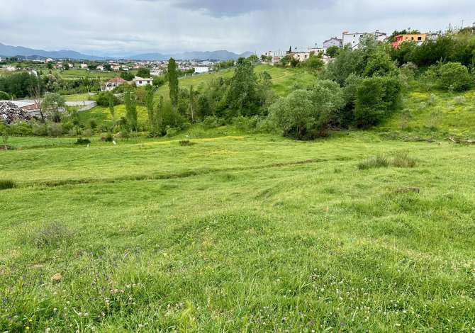 Truall ose Toke ne Tirane - 160,000 Euro