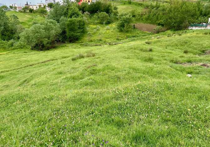 Truall ose Toke ne Tirane - 160,000 Euro