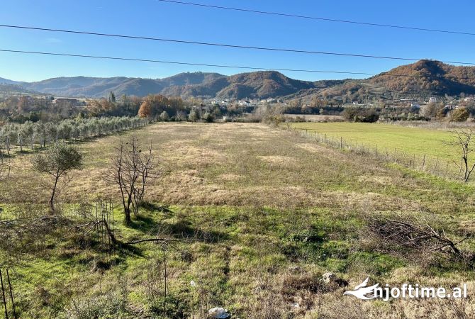 Truall ose Toke ne Tirane - 180,000 Euro