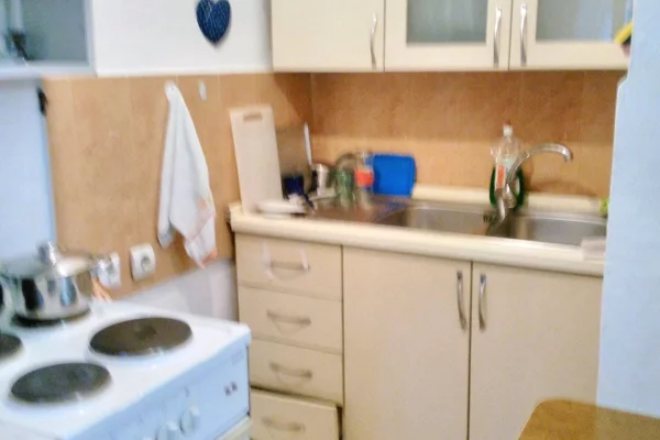 House for Rent 1+1 in Tirana - 45,000 Leke