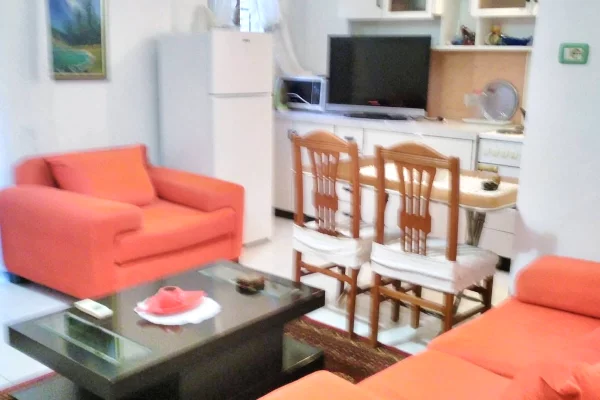 Shtepi me qera Apartament ne Tirane, 1+1, Mobilimi E mobiluar, Pagesa 45,000  Leke.