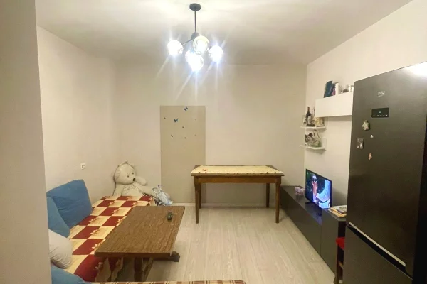 Shtepi ne shitje 1+1 ne Tirane - 82,000 Euro