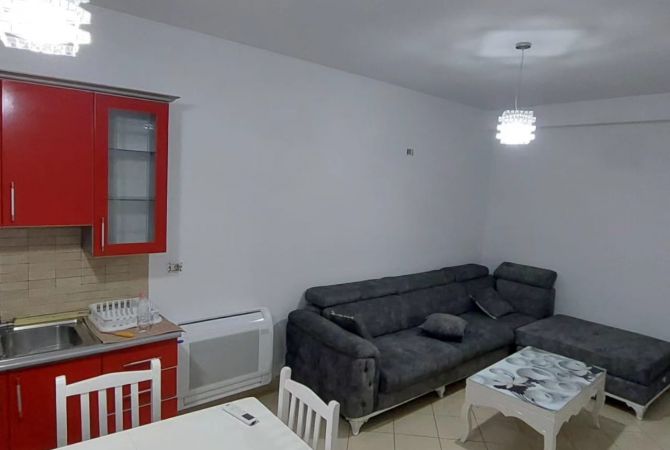 Shtepi me qera 1+1 ne Tirane - 42,000 Leke