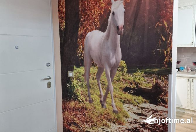 Shtepi ne shitje Apartament ne Tirane, 1+1, Mobilimi E mobiluar, Pagesa 175,000  Euro.