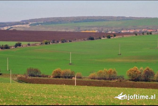 Truall ose Toke  ne Tirane - 1,200 Euro