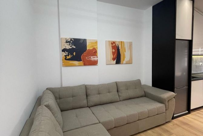 Shtepi ne shitje Apartament ne Tirane, 1+1, Mobilimi E mobiluar, Pagesa 93,000  Euro.