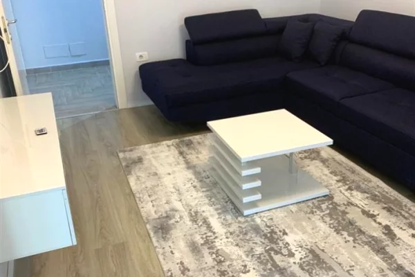 Shtepi me qera Apartament ne Tirane, 2+1, Mobilimi Pjeserisht e mobiluar, Pagesa 700  Euro.