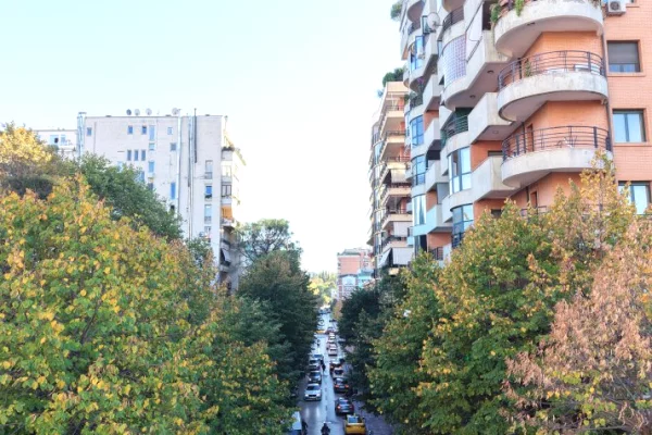 Business Property for Rent 1+1 in Tirana - 14,000 Euro