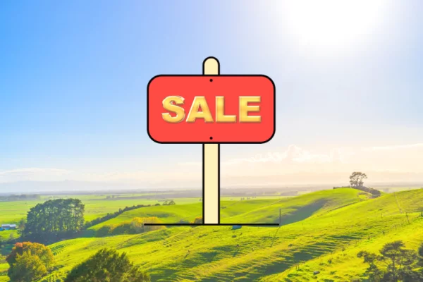 Truall ose Toke ne Tirane - 250,000 Euro