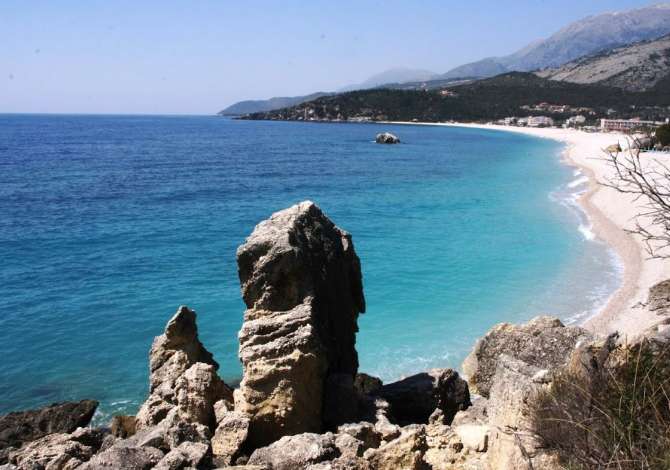 Sherbime Udhetimi dhe Transporti ne Vlore - 2,000 Leke