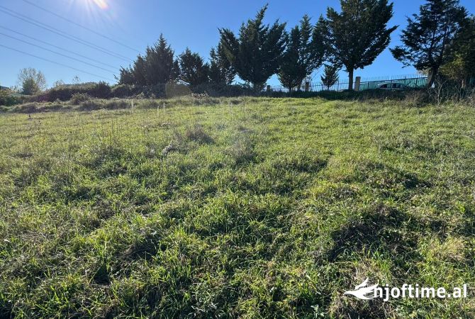 SHESIM TOKE 4000 M2, NE AUTOSTRADE TR-DRR TE UNIVERS REKLAMA