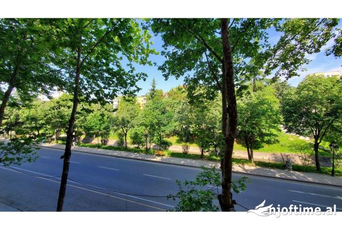 Ambient biznesi me qera 3+1 ne Tirane - 1,000 Euro