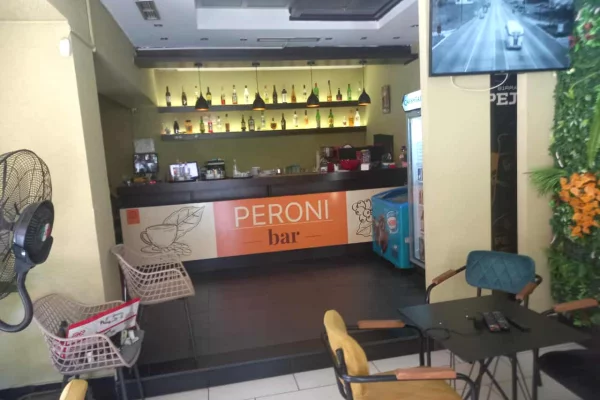 Ambient biznesi ne shitje 2+1 ne Tirane - 300,000 Euro