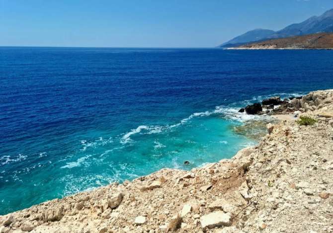 Tok 1000m2 vij e par ne himar ne shitje