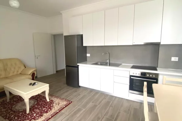 Shtepi me qera Apartament ne Tirane, 1+1, Mobilimi E mobiluar, Pagesa 500  Euro.