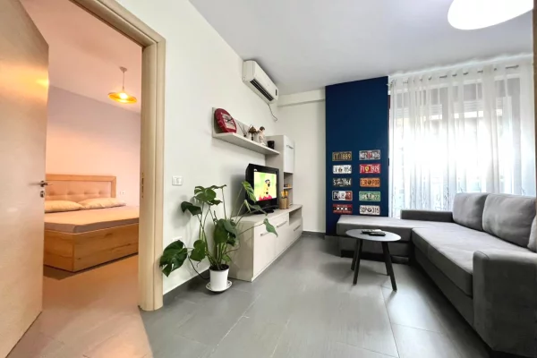 House for Rent 1+1 in Tirana - 650 Euro