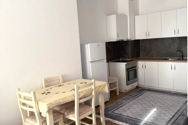 Shtepi me qera 1+1 ne Tirane - 480 Euro