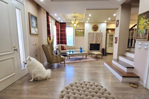 Shtepi ne shitje Vila Luksoze ne Tirane, 5+1, Mobilimi E mobiluar, Pagesa 1,150,000  Euro.