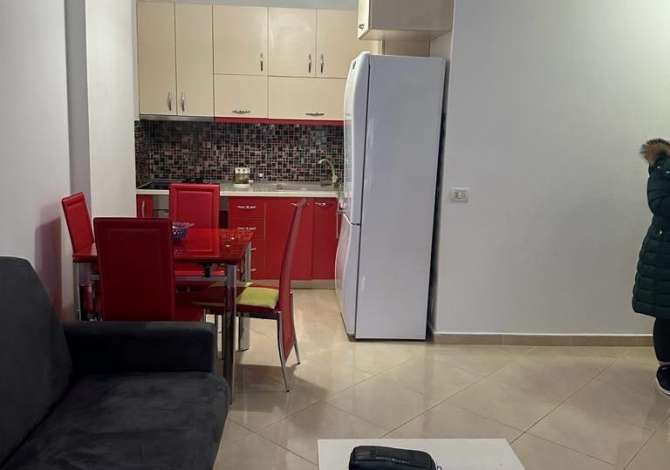 Shtepi me qera 1+1 ne Tirane - 450 Euro
