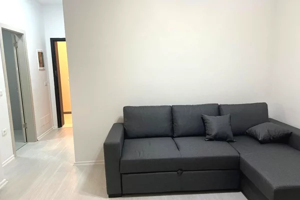 Shtepi me qera Apartament ne Tirane, 1+1, Mobilimi E mobiluar, Pagesa 60,000  Leke.