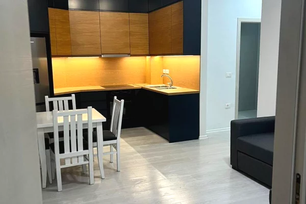 Shtepi me qera 1+1 ne Tirane - 60,000 Leke