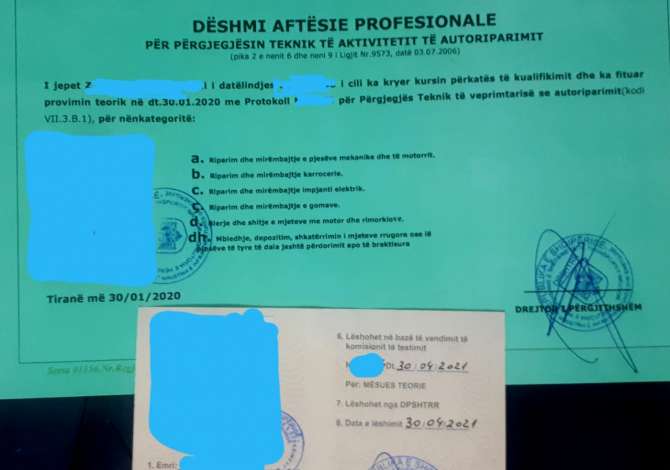 Professional Services a Tirana - 10,000 Leke