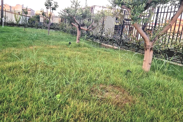 Luxury villas for sale in Kavaja 3+1, In Part