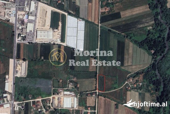 Truall ose Toke  ne Tirane - 180,000 Euro