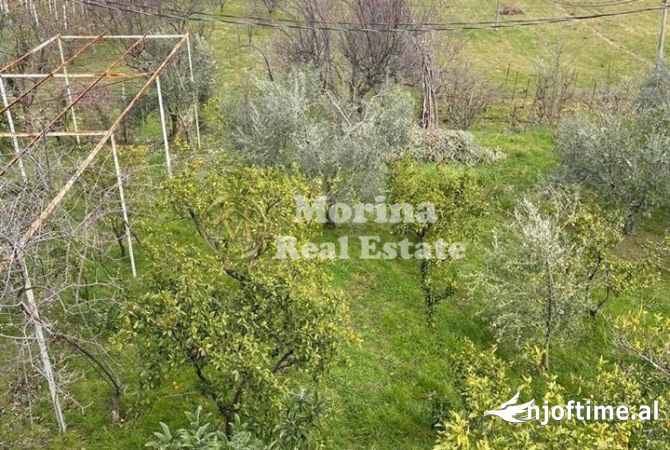 Shtepi me qera 3+1 ne Tirane - 500 Euro