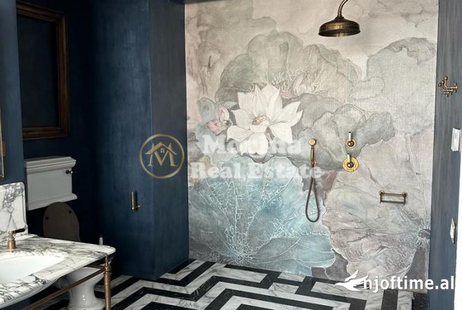 Apartment for rent in Tirana 1+1, Furnished