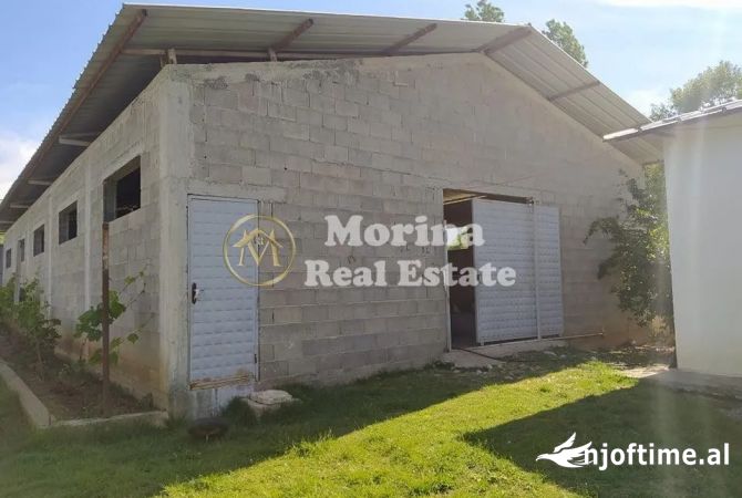Ambient biznesi me qera 4+1 ne Tirane - 400 Euro
