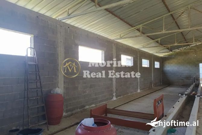 Qera, Ambient Biznesi ,Zall Herr 400 euro/muaj